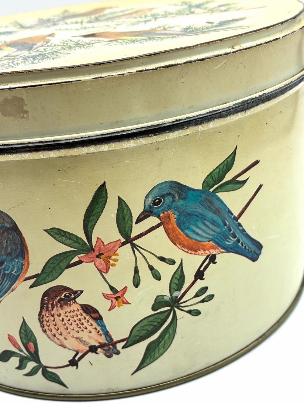 Vintage Tom Sturgis Bird Tin Round Metal Storage Box Cottagecore - Picture 11 of 16
